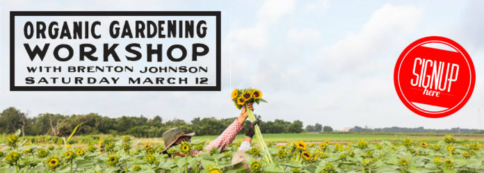 gardening workshop banner correct size