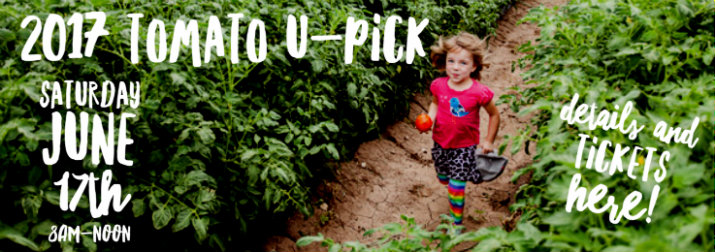 2017 tomato upick banner correct size